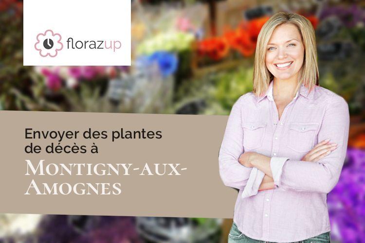 compositions florales pour un décès à Montigny-aux-Amognes (Nièvre/58130)