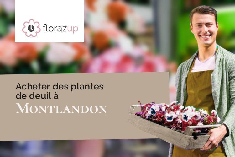 couronnes florales pour une crémation à Montlandon (Eure-et-Loir/28240)
