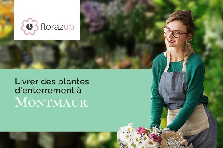 plantes pour une crémation à Montmaur (Aude/11320)