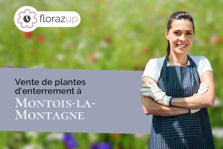 compositions florales pour un décès à Montois-la-Montagne (Moselle/57860)