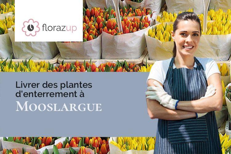 plantes pour un décès à Mooslargue (Haut-Rhin/68580)