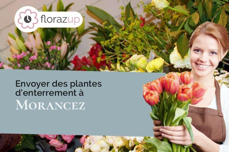 couronnes florales pour une crémation à Morancez (Eure-et-Loir/28630)