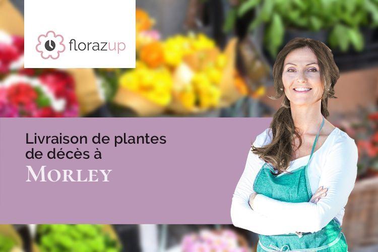 couronnes florales pour un enterrement à Morley (Meuse/55290)