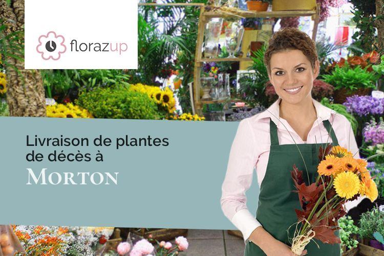 plantes pour un deuil à Morton (Vienne/86120)