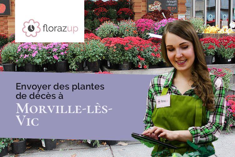 gerbes de fleurs pour un décès à Morville-lès-Vic (Moselle/57170)