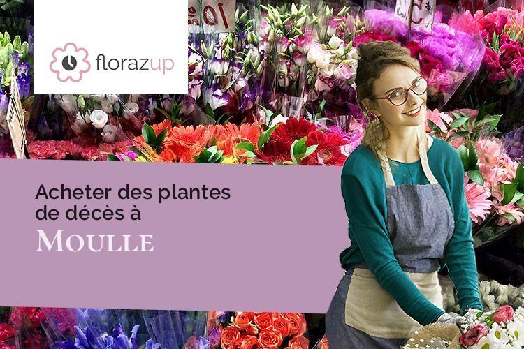 coupes de fleurs pour un deuil à Moulle (Pas-de-Calais/62910)