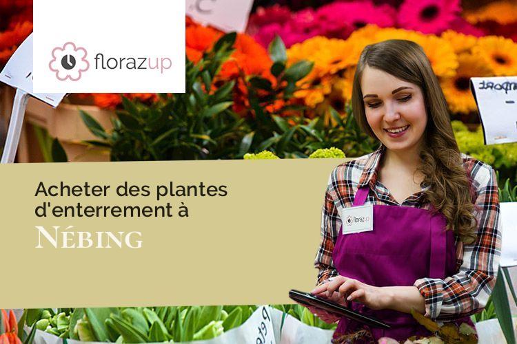 coupes de fleurs pour un décès à Nébing (Moselle/57670)