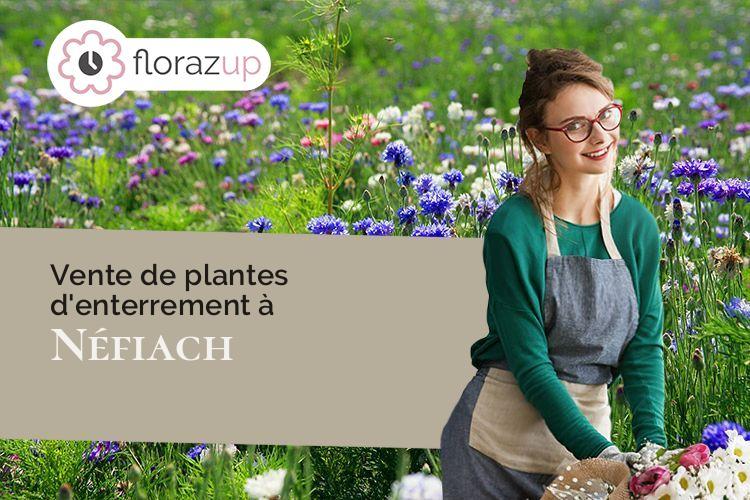 couronnes de fleurs pour une crémation à Néfiach (Pyrénées-Orientales/66170)