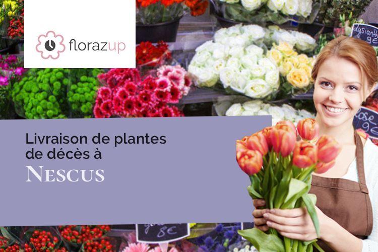 gerbes de fleurs pour des obsèques à Nescus (Ariège/09240)