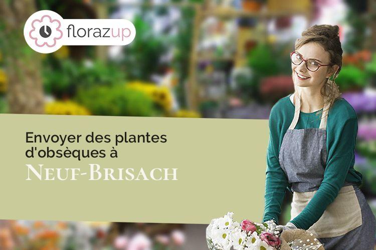 plantes pour un enterrement à Neuf-Brisach (Haut-Rhin/68600)