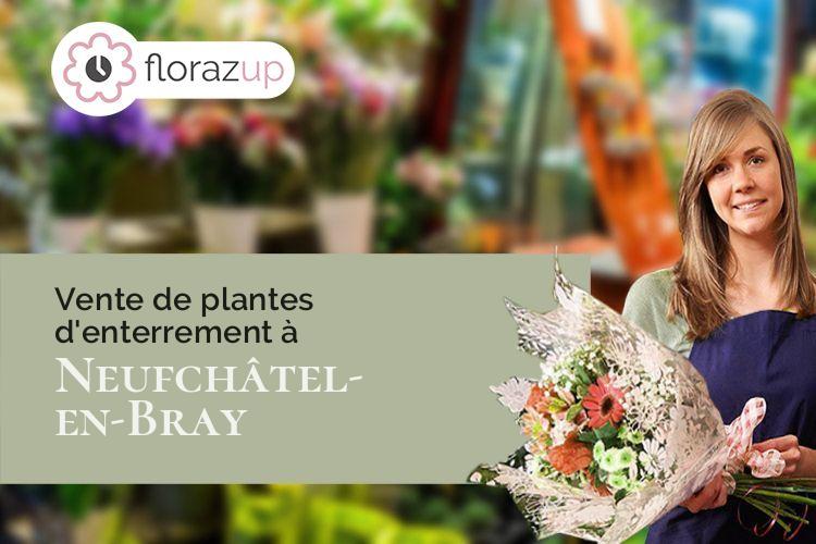 bouquets de fleurs pour un décès à Neufchâtel-en-Bray (Seine-Maritime/76270)