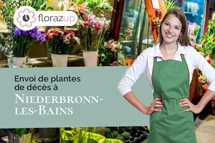 gerbes de fleurs pour un décès à Niederbronn-les-Bains (Bas-Rhin/67110)