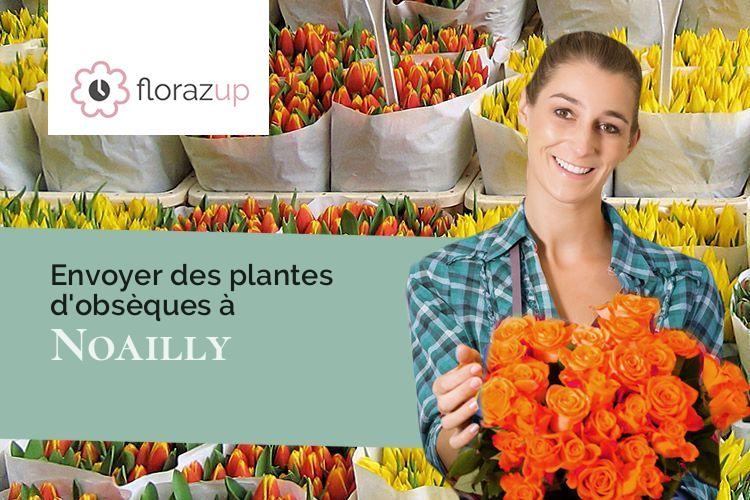 plantes pour un décès à Noailly (Loire/42640)