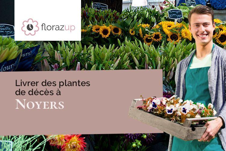 plantes pour des obsèques à Noyers (Haute-Marne/52240)