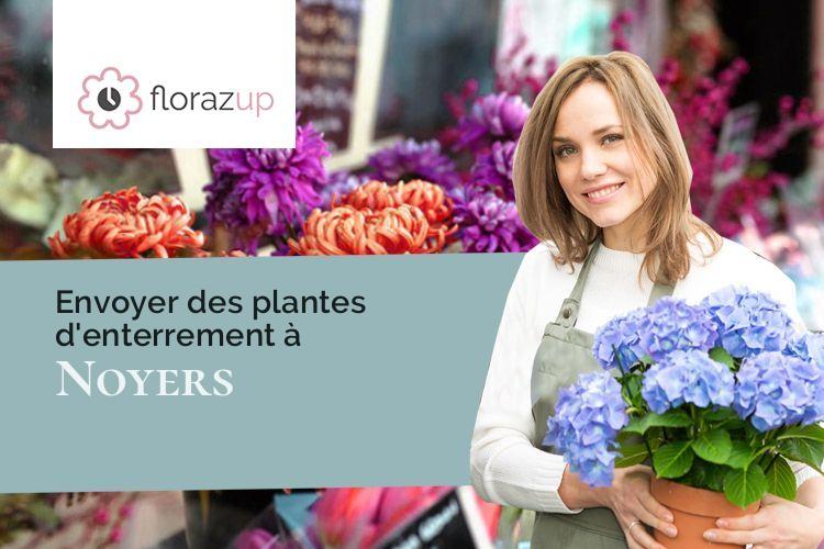 compositions de fleurs pour un deuil à Noyers (Loiret/45260)