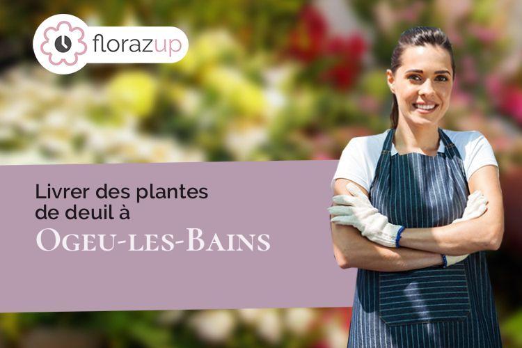 bouquets de fleurs pour une crémation à Ogeu-les-Bains (Pyrénées-Atlantiques/64680)