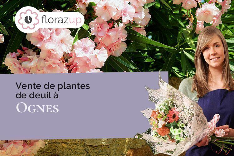 bouquets de fleurs pour un enterrement à Ognes (Aisne/02300)