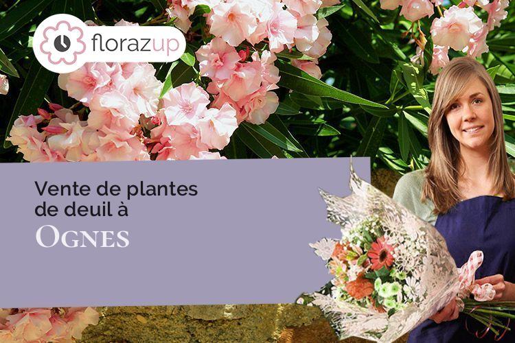 bouquets de fleurs pour un enterrement à Ognes (Aisne/02300)