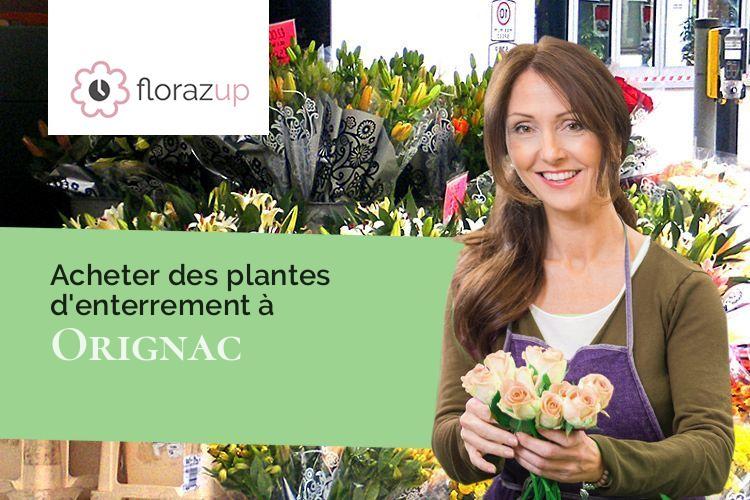 coupes de fleurs pour des obsèques à Orignac (Hautes-Pyrénées/65200)