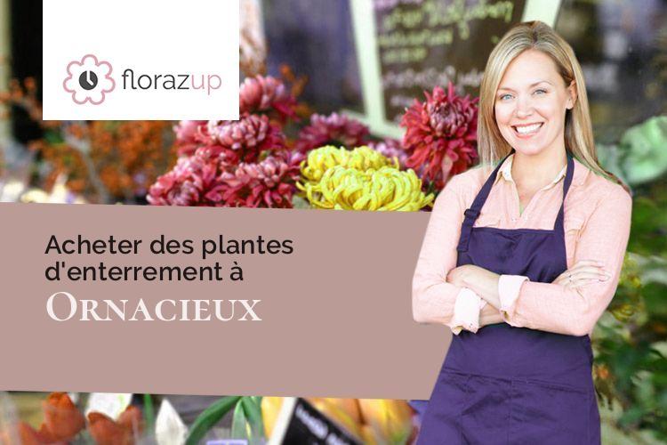 couronnes de fleurs pour un décès à Ornacieux (Isère/38260)