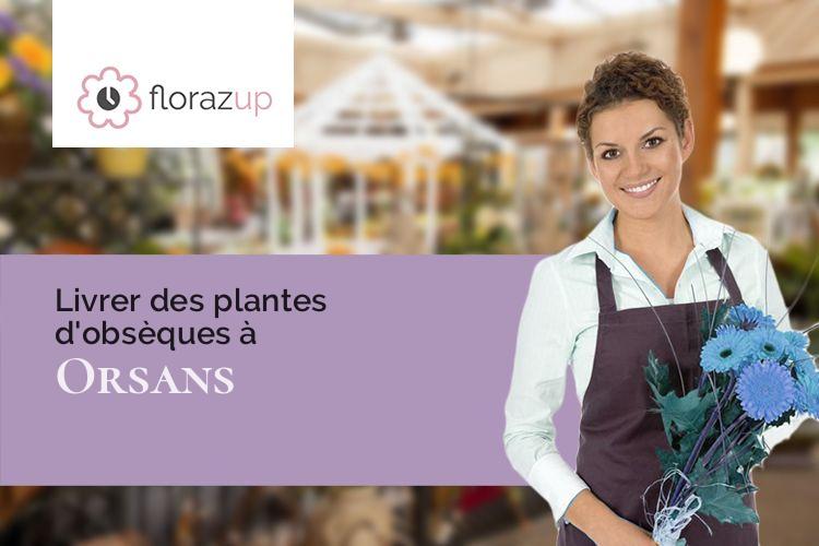 gerbes de fleurs pour un décès à Orsans (Aude/11270)