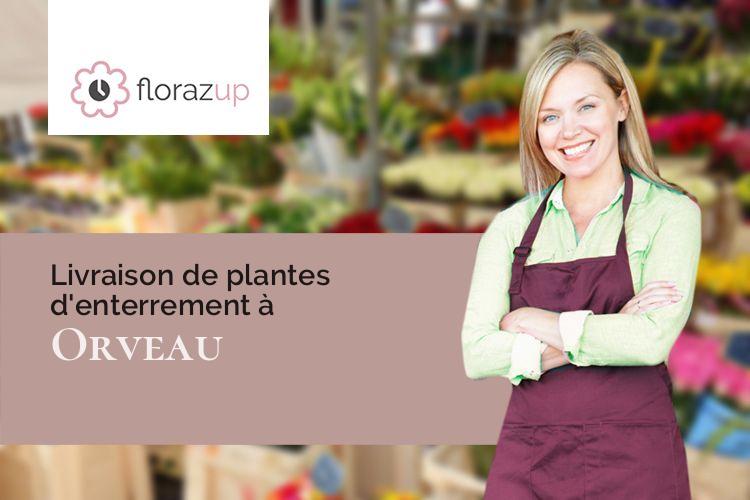 compositions florales pour un deuil à Orveau (Essonne/91590)
