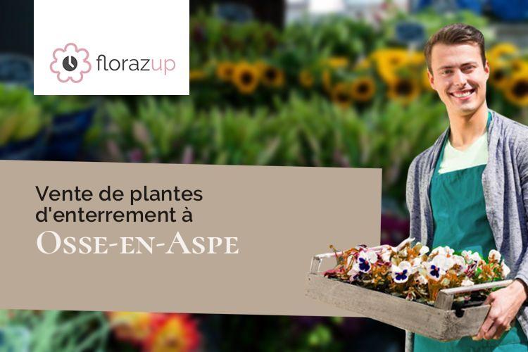 couronnes florales pour un décès à Osse-en-Aspe (Pyrénées-Atlantiques/64490)