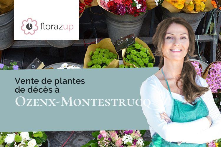 gerbes de fleurs pour un décès à Ozenx-Montestrucq (Pyrénées-Atlantiques/64300)
