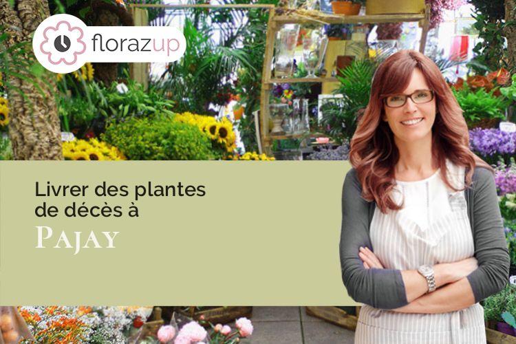 gerbes de fleurs pour des obsèques à Pajay (Isère/38260)