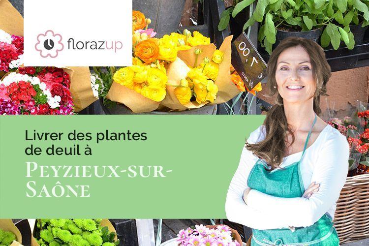 plantes pour un décès à Peyzieux-sur-Saône (Ain/01140)