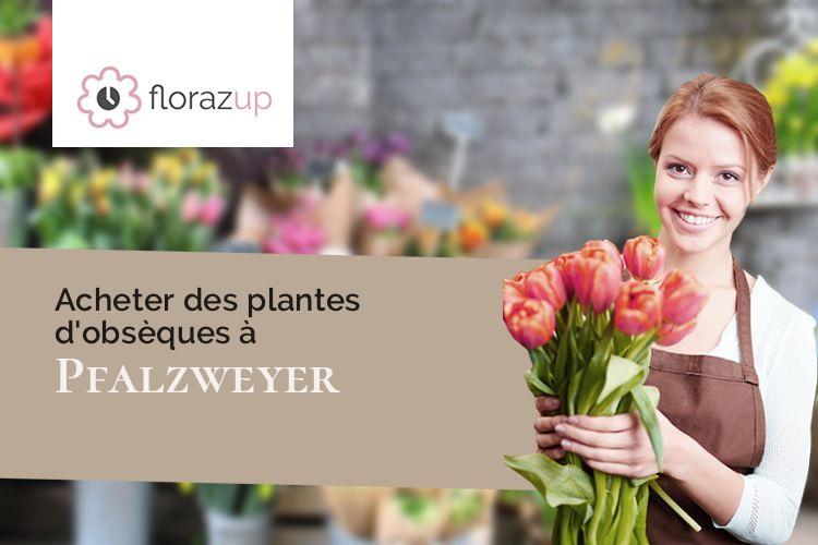 bouquets de fleurs pour un enterrement à Pfalzweyer (Bas-Rhin/67320)