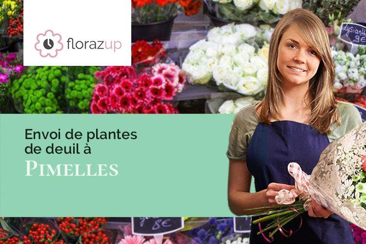 plantes pour une crémation à Pimelles (Yonne/89740)