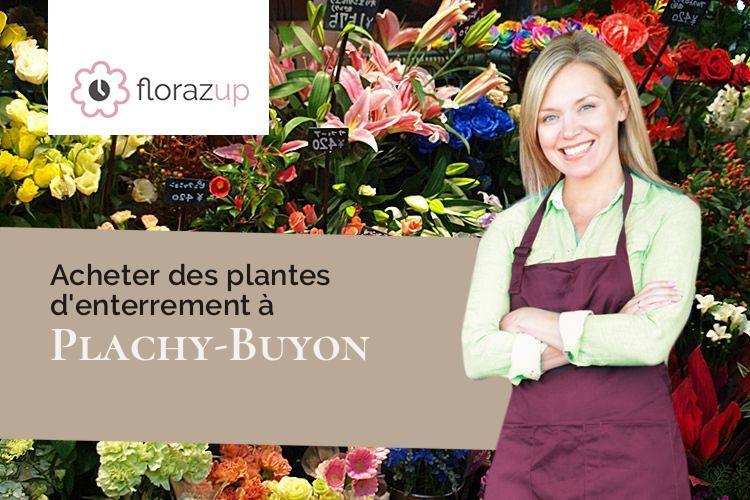 compositions de fleurs pour un deuil à Plachy-Buyon (Somme/80160)