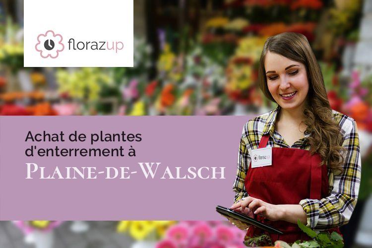 compositions de fleurs pour des funérailles à Plaine-de-Walsch (Moselle/57870)