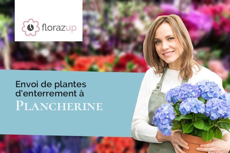 bouquets de fleurs pour une crémation à Plancherine (Savoie/73200)