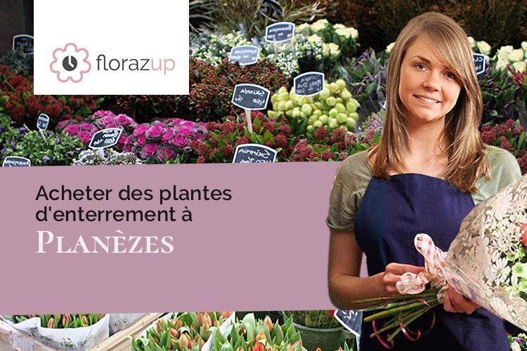 compositions de fleurs pour un enterrement à Planèzes (Pyrénées-Orientales/66720)