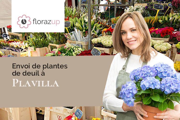 plantes pour un décès à Plavilla (Aude/11270)