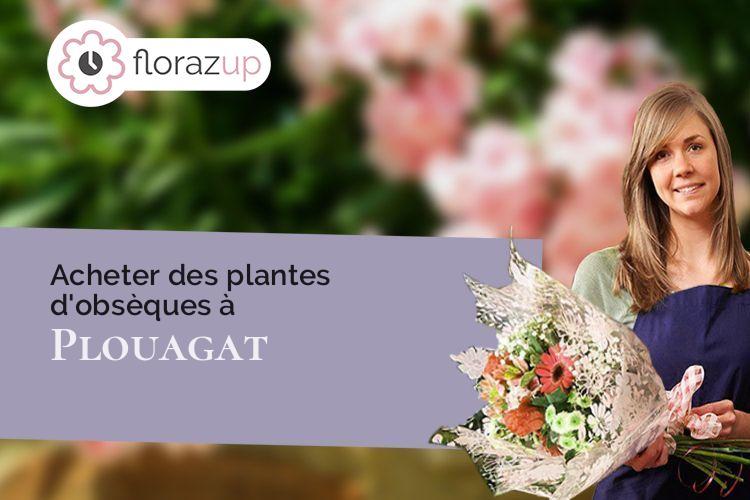 plantes pour un décès à Plouagat (Côtes-d'Armor/22170)