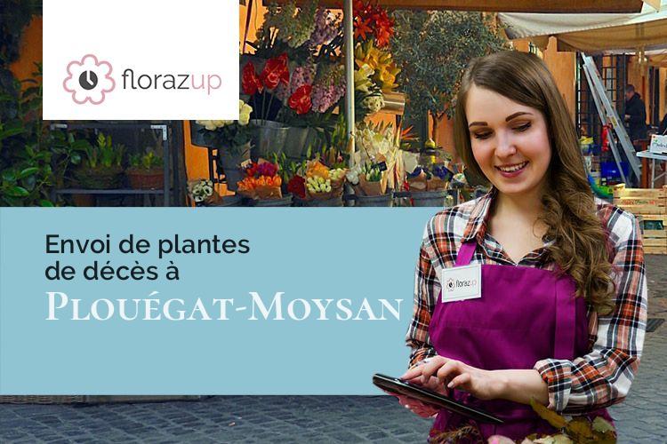 plantes pour un deuil à Plouégat-Moysan (Finistère/29650)