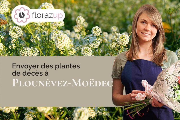 bouquets de fleurs pour des funérailles à Plounévez-Moëdec (Côtes-d'Armor/22810)