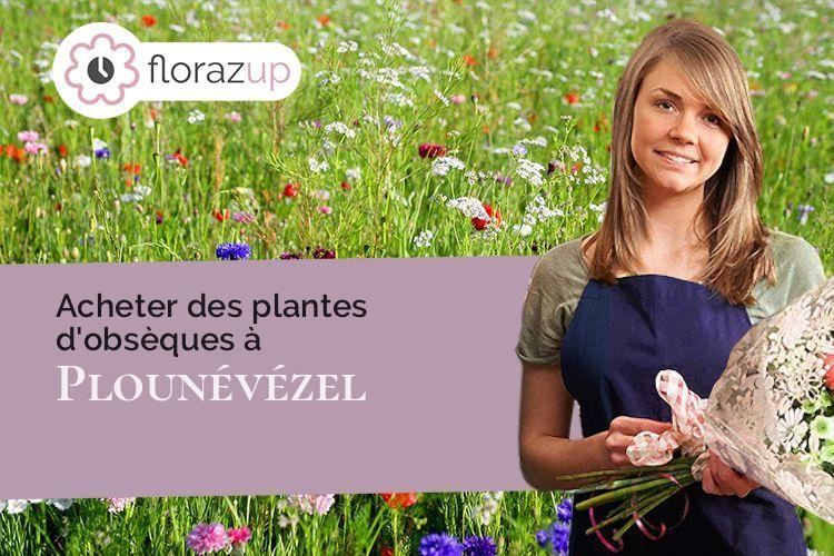 compositions de fleurs pour un décès à Plounévézel (Finistère/29270)