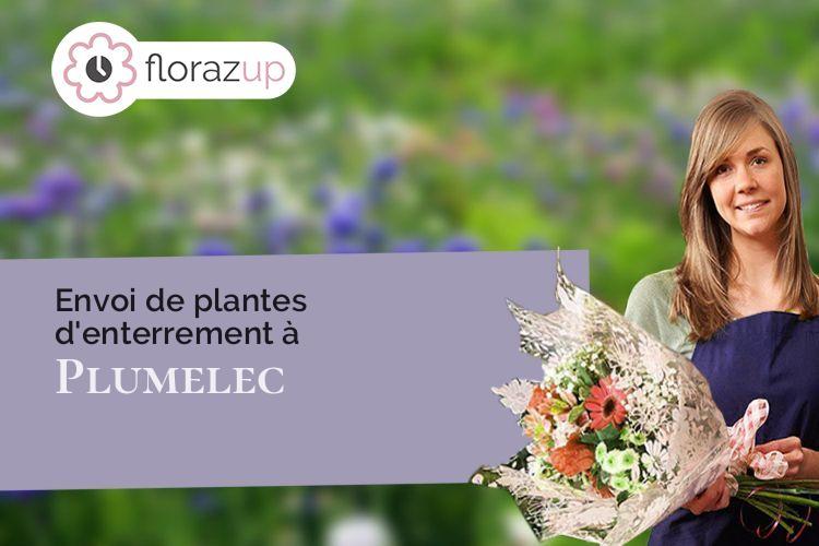 couronnes florales pour des funérailles à Plumelec (Morbihan/56420)