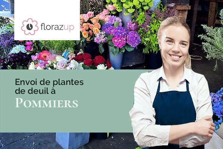 coeurs de fleurs pour un décès à Pommiers (Aisne/02200)