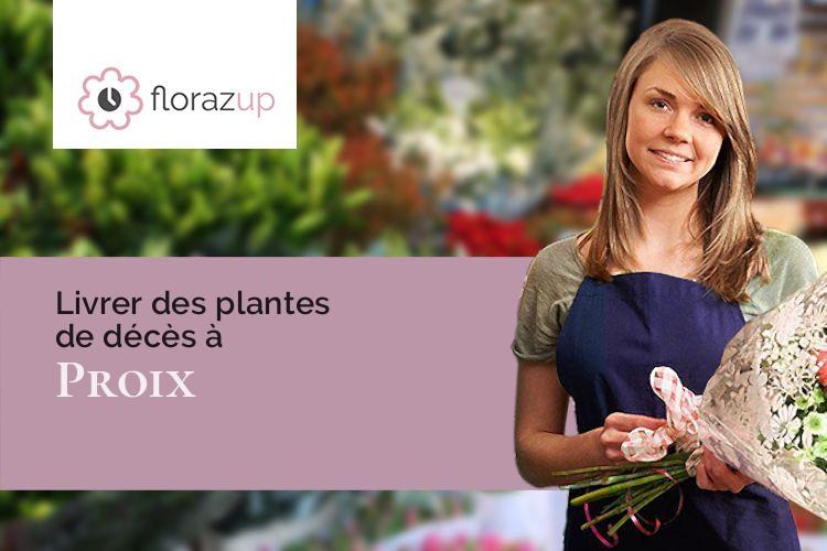 couronnes de fleurs pour un décès à Proix (Aisne/02120)