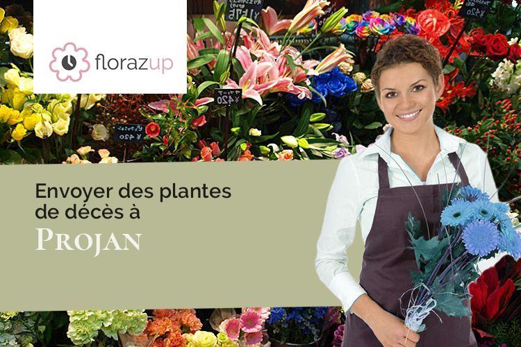 bouquets de fleurs pour un décès à Projan (Gers/32400)