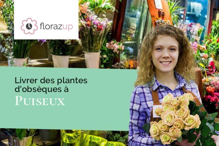 plantes pour un décès à Puiseux (Eure-et-Loir/28170)