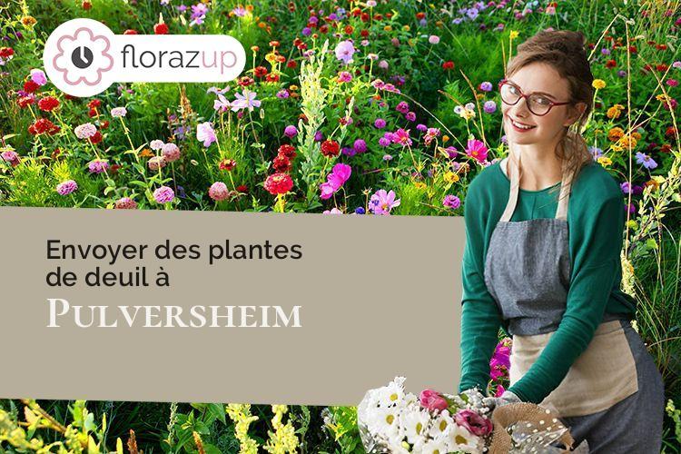 gerbes de fleurs pour un décès à Pulversheim (Haut-Rhin/68840)