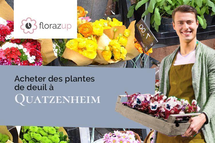 plantes pour un deuil à Quatzenheim (Bas-Rhin/67117)