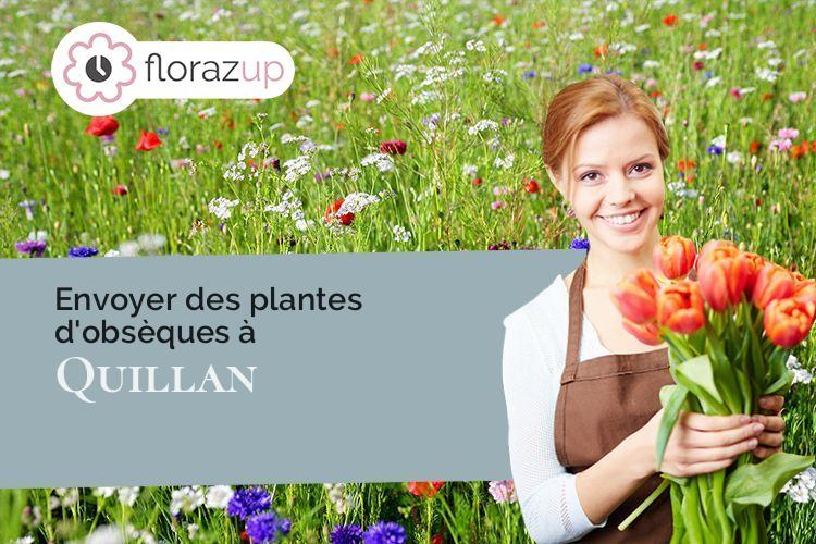 coeur de fleurs pour une crémation à Quillan (Aude/11500)