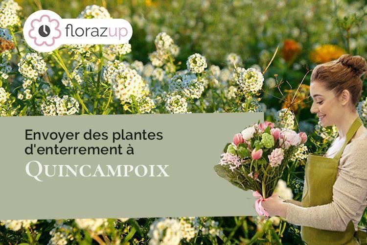 plantes pour un enterrement à Quincampoix (Seine-Maritime/76230)